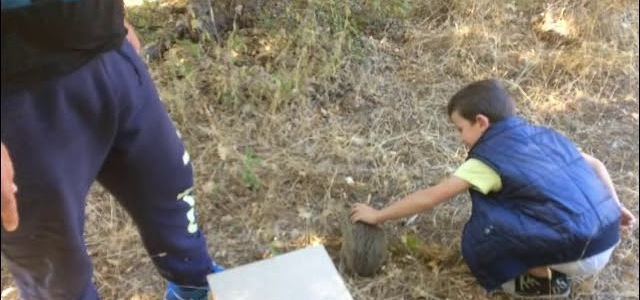 Απελευθέρωση λαγών απο τον ΚΣ Κόνιτσας